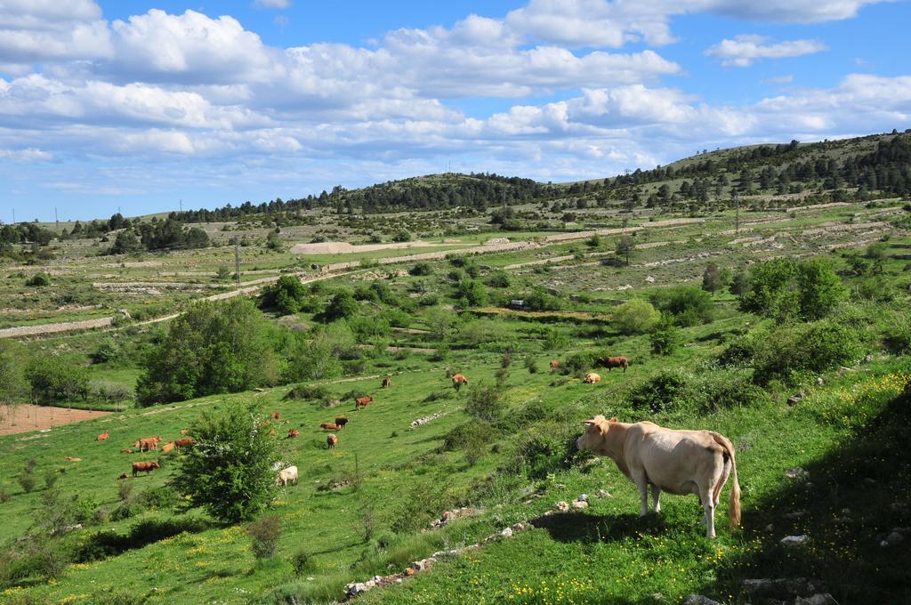 Casa Rural El Boixar - El Mirador Bojar Dış mekan fotoğraf